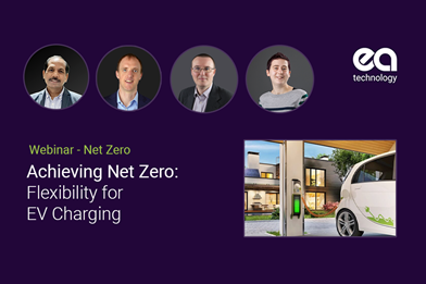 net zero webinar